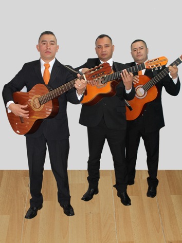 Músicos guitarristas