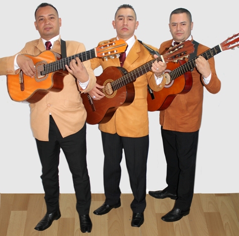 Guitarristas
